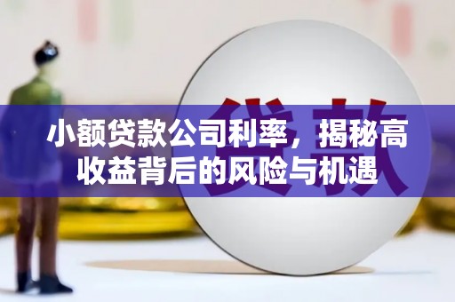 七星小额贷款公司利率，揭秘高收益背后的风险与机遇