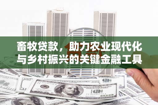 七星畜牧贷款，助力农业现代化与乡村振兴的关键金融工具