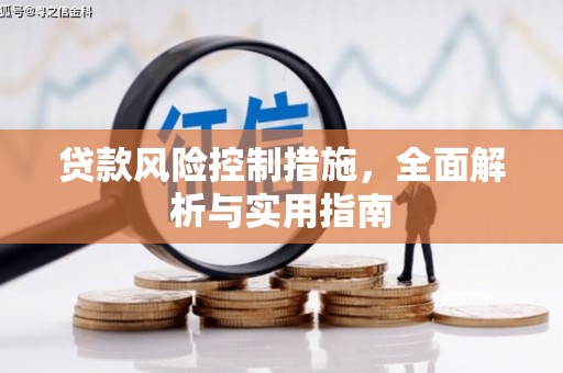 七星贷款风险控制措施，全面解析与实用指南