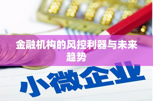 七星金融机构的风控利器与未来趋势