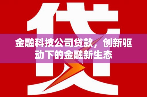 七星金融科技公司贷款，创新驱动下的金融新生态