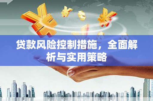 七星贷款风险控制措施，全面解析与实用策略