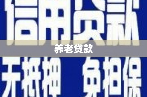 七星养老贷款