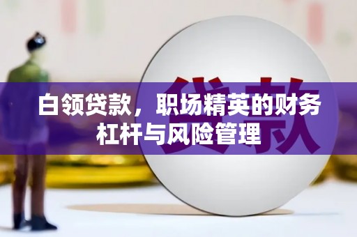 七星白领贷款，职场精英的财务杠杆与风险管理