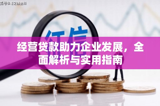 七星经营贷款助力企业发展，全面解析与实用指南