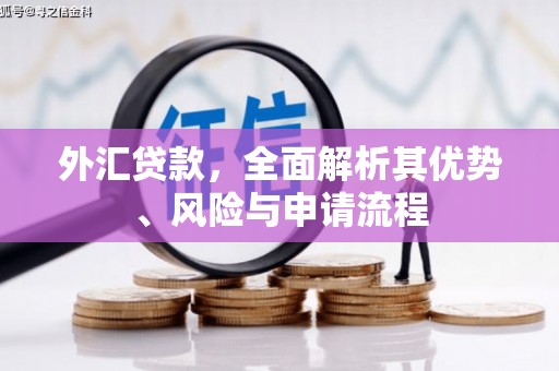 七星外汇贷款，全面解析其优势、风险与申请流程