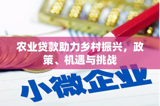 七星农业贷款助力乡村振兴，政策、机遇与挑战