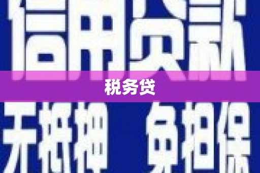七星税务贷