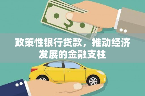 七星政策性银行贷款，推动经济发展的金融支柱