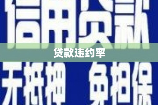七星贷款违约率