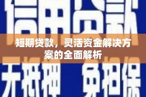 七星短期贷款，灵活资金解决方案的全面解析