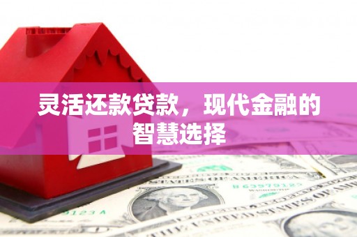 七星灵活还款贷款，现代金融的智慧选择