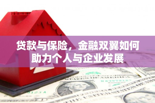 七星贷款与保险，金融双翼如何助力个人与企业发展