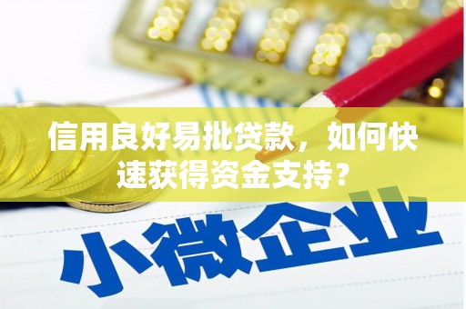 七星信用良好易批贷款，如何快速获得资金支持？