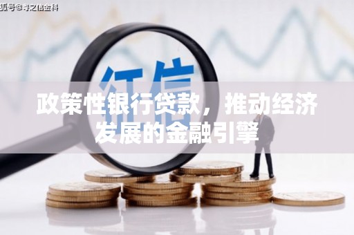 七星政策性银行贷款，推动经济发展的金融引擎