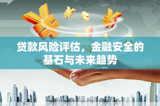 七星贷款风险评估，金融安全的基石与未来趋势