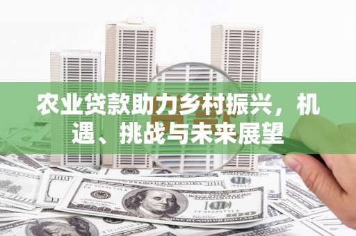 七星农业贷款助力乡村振兴，机遇、挑战与未来展望