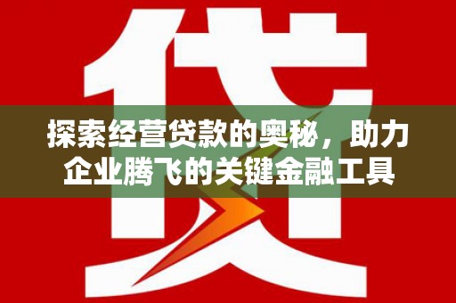 七星探索经营贷款的奥秘，助力企业腾飞的关键金融工具