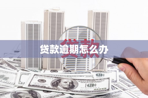 七星贷款逾期怎么办