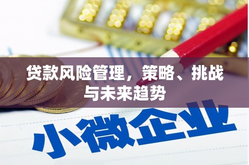 七星贷款风险管理，策略、挑战与未来趋势