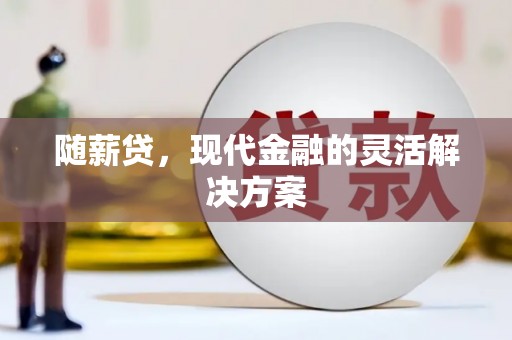 七星随薪贷，现代金融的灵活解决方案