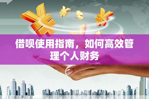 七星借呗使用指南，如何高效管理个人财务