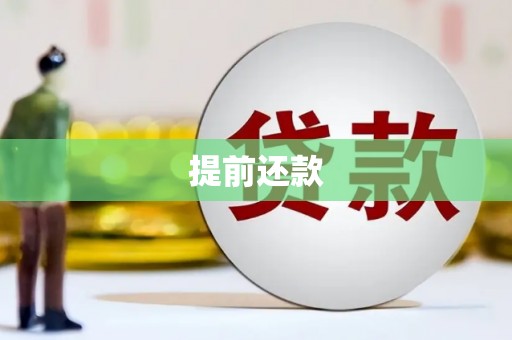 七星提前还款