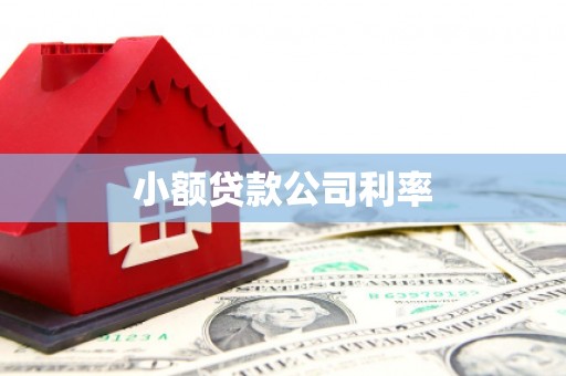 七星小额贷款公司利率
