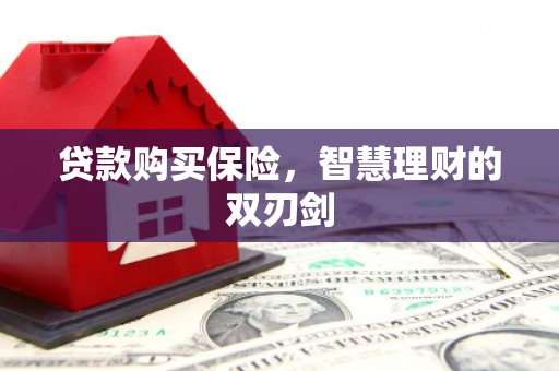 七星贷款购买保险，智慧理财的双刃剑
