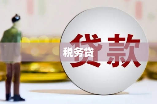 七星税务贷