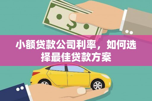 七星小额贷款公司利率，如何选择最佳贷款方案