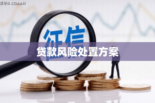 七星贷款风险处置方案