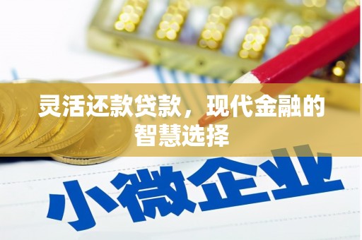 七星灵活还款贷款，现代金融的智慧选择