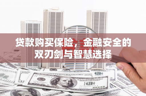 七星贷款购买保险，金融安全的双刃剑与智慧选择