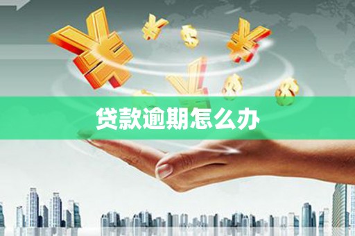 七星贷款逾期怎么办
