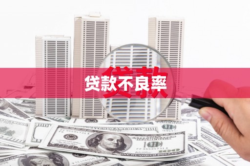 七星贷款不良率
