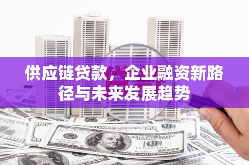七星供应链贷款，企业融资新路径与未来发展趋势
