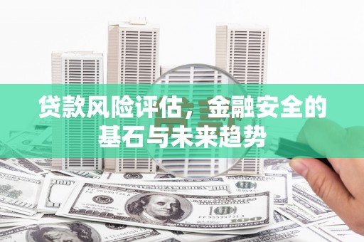七星贷款风险评估，金融安全的基石与未来趋势