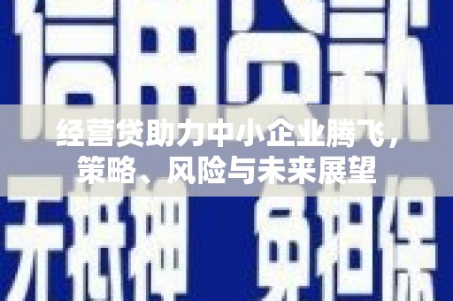七星经营贷助力中小企业腾飞，策略、风险与未来展望