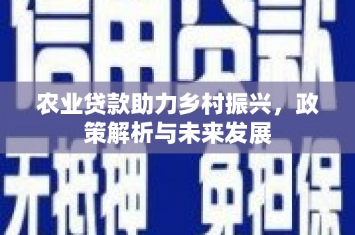 七星农业贷款助力乡村振兴，政策解析与未来发展