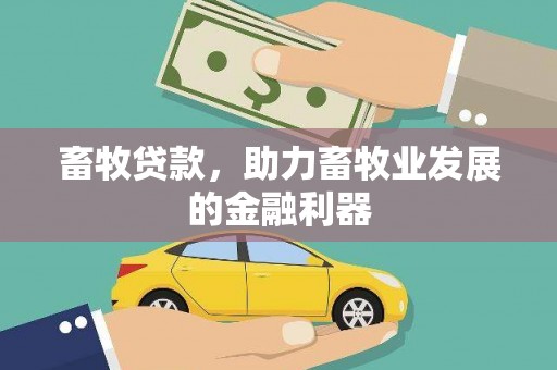 七星畜牧贷款，助力畜牧业发展的金融利器