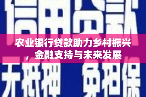 七星农业银行贷款助力乡村振兴，金融支持与未来发展