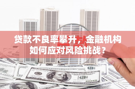 七星贷款不良率攀升，金融机构如何应对风险挑战？
