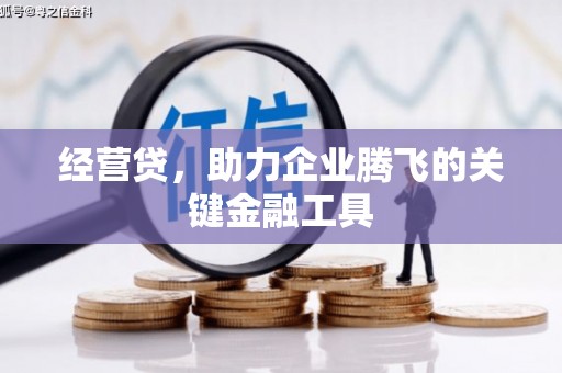 七星经营贷，助力企业腾飞的关键金融工具