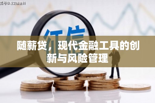 七星随薪贷，现代金融工具的创新与风险管理