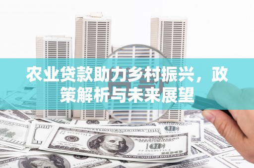 七星农业贷款助力乡村振兴，政策解析与未来展望