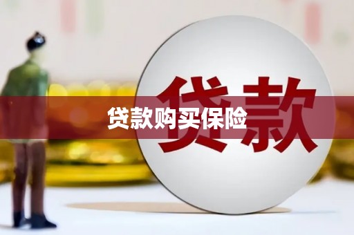 七星贷款购买保险