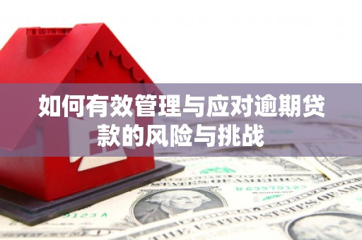 七星如何有效管理与应对逾期贷款的风险与挑战