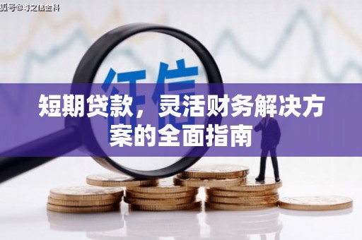 七星短期贷款，灵活财务解决方案的全面指南