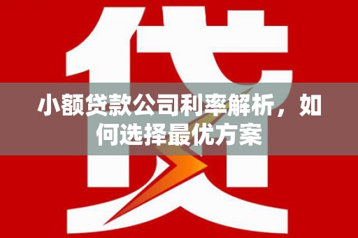 七星小额贷款公司利率解析，如何选择最优方案